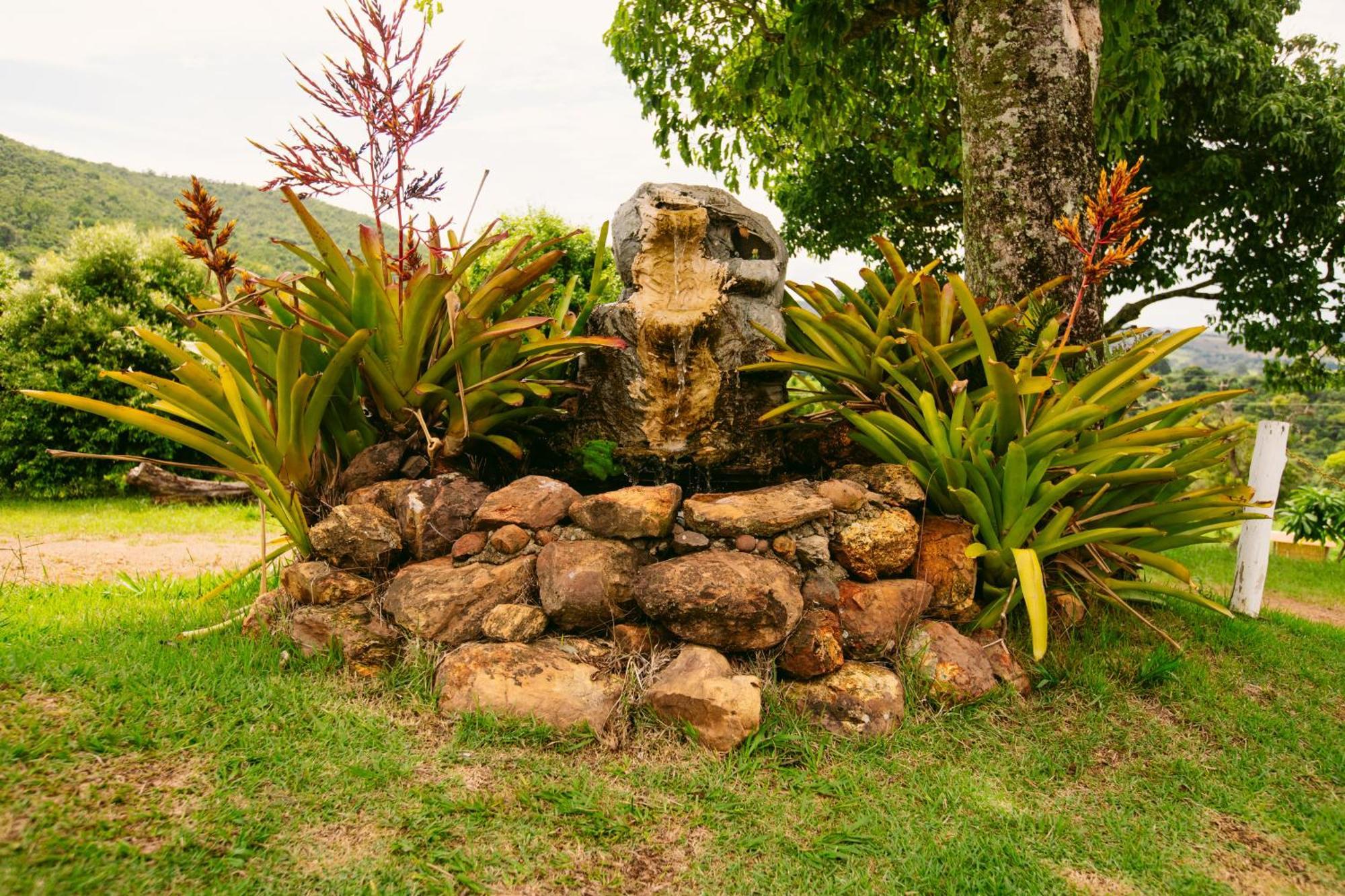 Mirante Dos Ipes - - Mg 賓館
