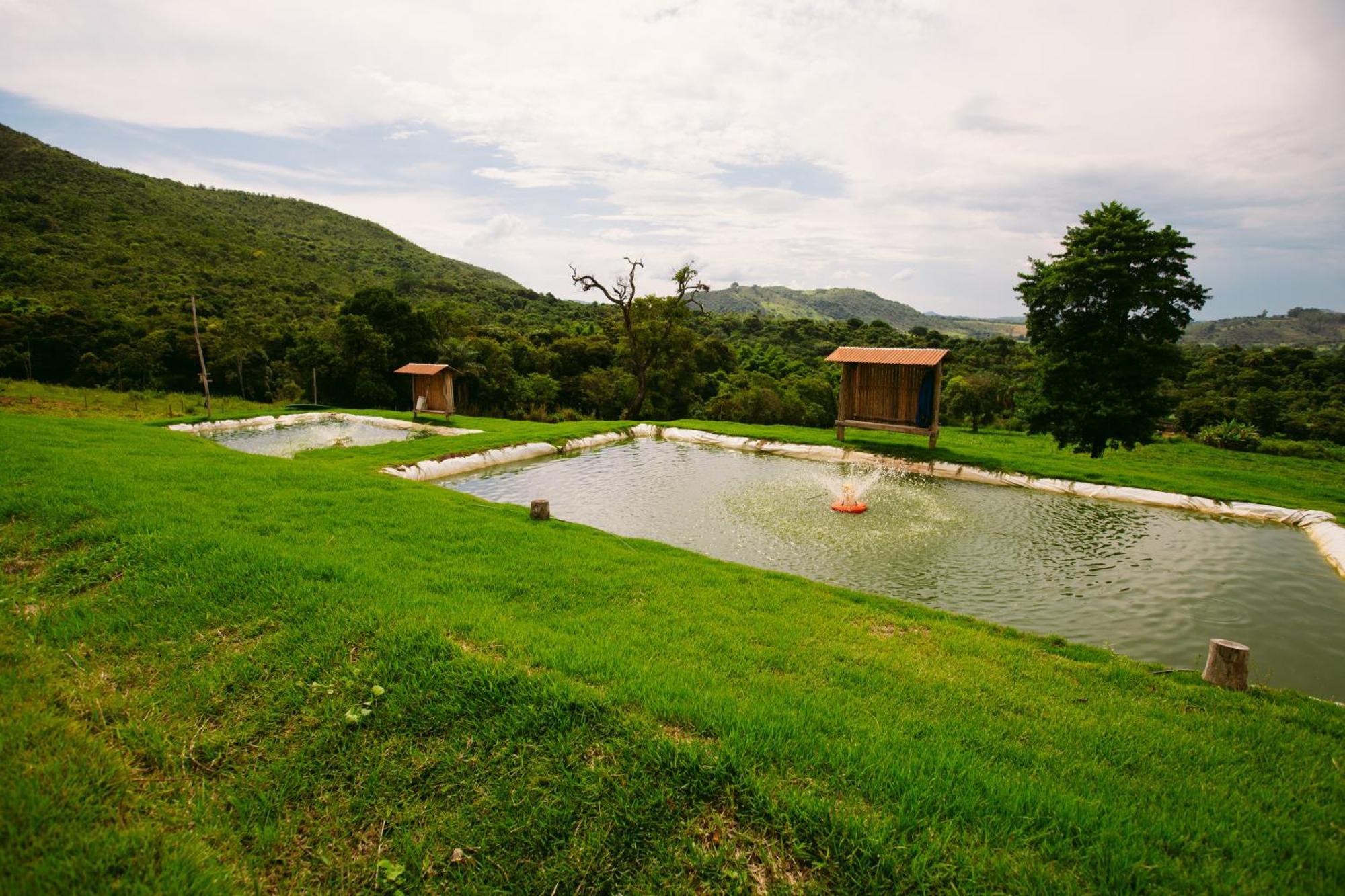 Mirante Dos Ipes - - Mg 賓館