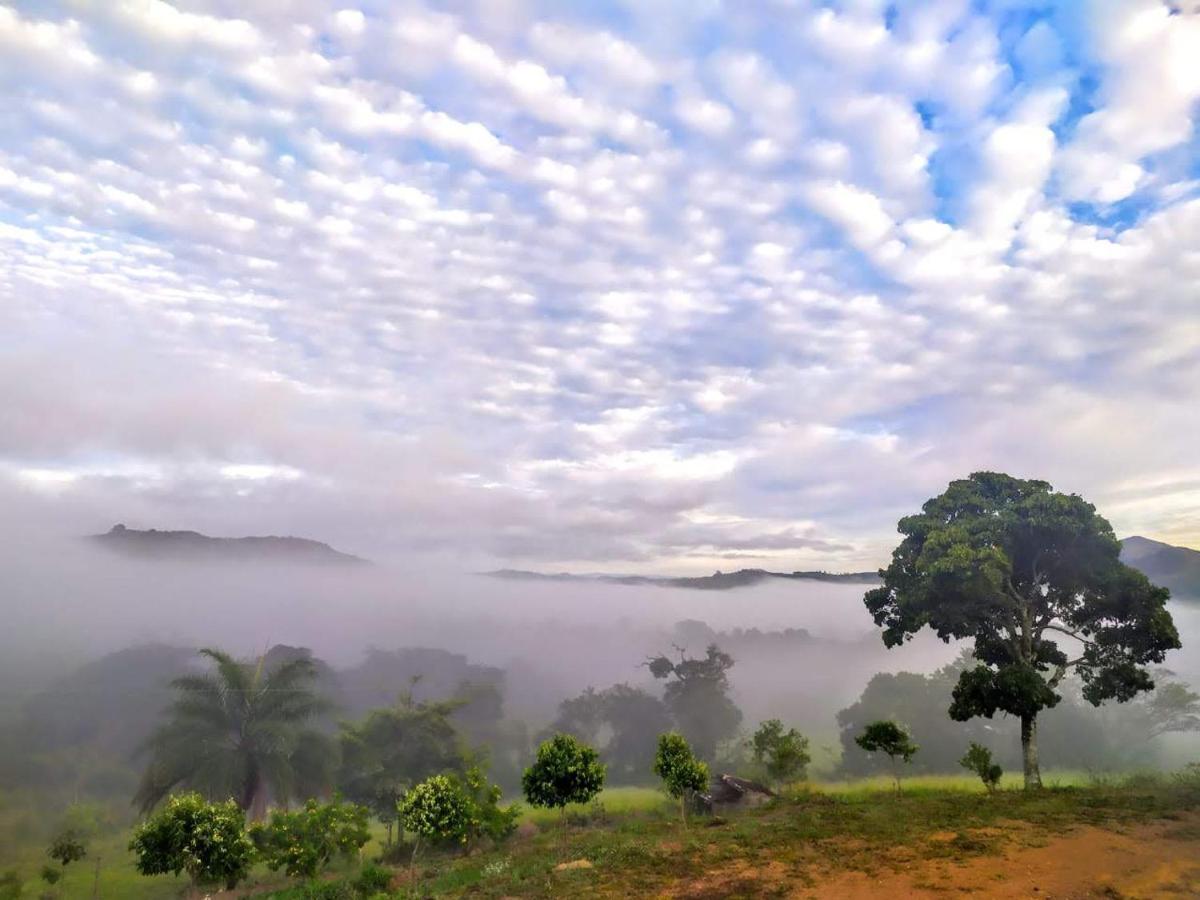 Mirante Dos Ipês