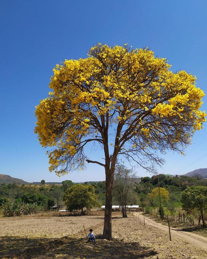 Mirante Dos Ipês 3*