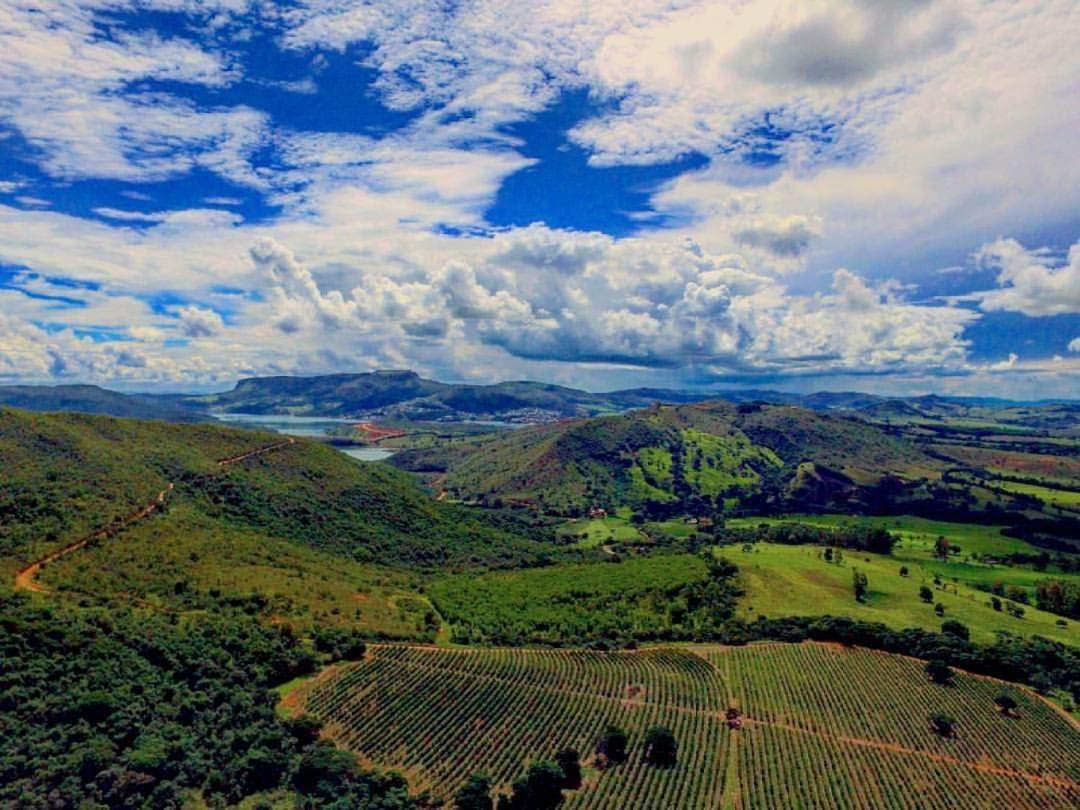 Mirante Dos Ipês